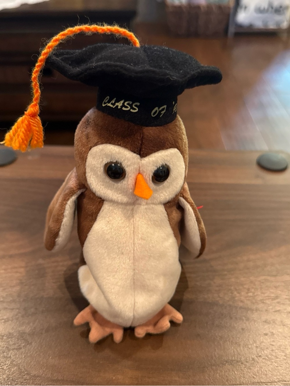 Wise the Owl Graduation Class of 1998 TY Beanie Baby Vintage Plush Stuffd Animal